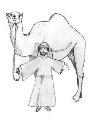 camel.jpg