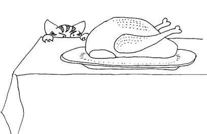 turkeycat.jpg